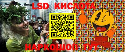 прущие грибы Канаш