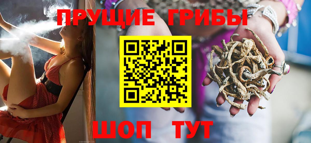 Киров  сколько стоит  Вход с VPN  Галлюциногенные грибы прущие грибы 